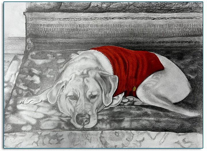 Favorite Warm Spot